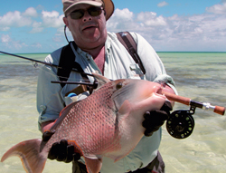 Triger Fish capturé aux Seychelles  Canne Thomas & Thomas Apex 9p soie 7  Moulinet Abel Quick Change 7/8         
