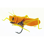 insecte terrestre 142 - Yellow