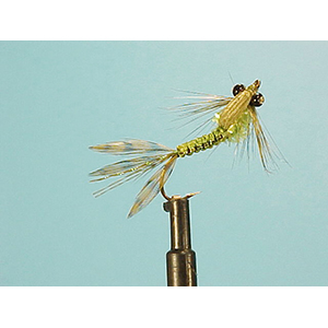 Mouche Lm2g nymphe légère - N87 - Dark Damsel HPT  h10