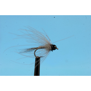 Mouche Lm2g nymphe tungsten - N48C -Grey Glister CDC Nymph  h14