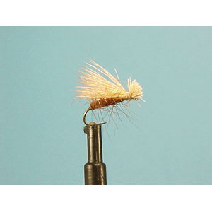 Mouche Lm2g mouche sèche - S21 - Brown Elk Hair Caddis   h12