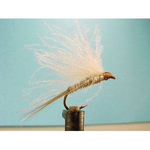 Mouche Lm2g mouche sèche - S24 - Fastwater Grey  h 14