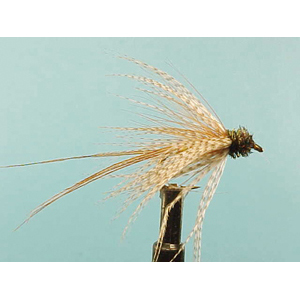 Mouche Lm2g mouche sèche - S8 - Hackle Mayfly Dark Grey h10 