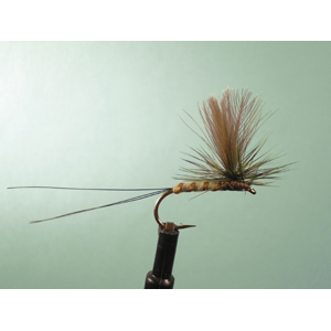 Mouche Lm2g mouche sèche - S9 - Adult Dun Mayfly h10 