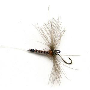 Mouche Terenzio 10 - Olive  h16